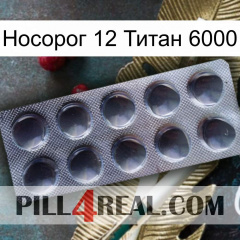 Носорог 12 Титан 6000 30